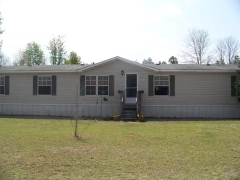 453 Webbs Pond Rd, Williston, SC 29853 photo 1