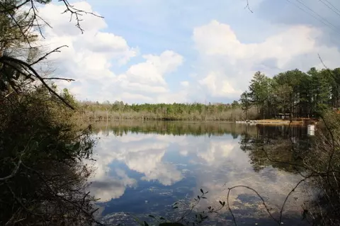 357 Cumbee Trail Rd, Ridge Spring, SC 29129 photo 1