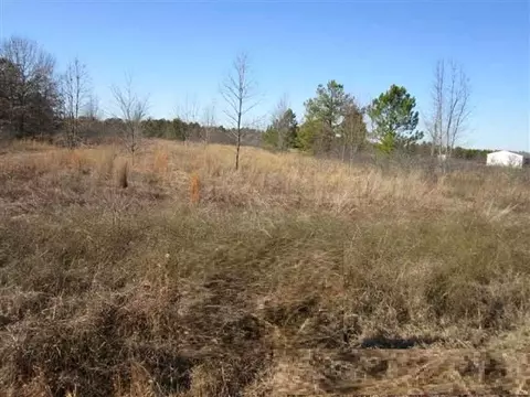 1244 Weeks Rd, Williston, SC 29856 photo 1