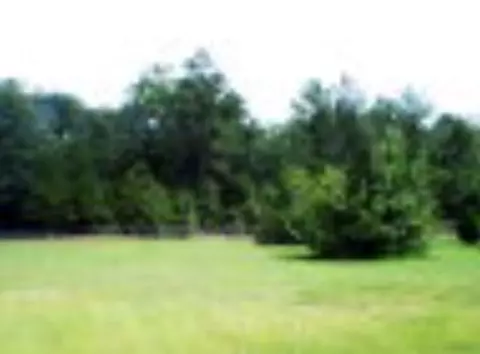 107 Musterfield Rd, Jackson, SC 29831 photo 1