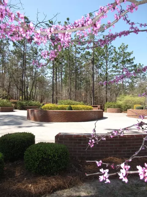 191 Devonshire Dr, Aiken, SC 29803 photo 21