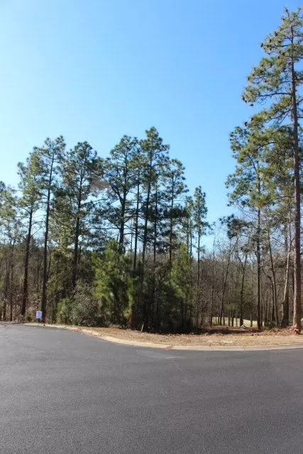 191 Devonshire Dr, Aiken, SC 29803 photo 8