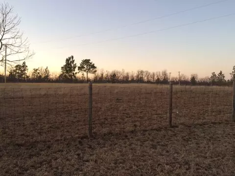 410 Beck Rd, Williston, SC 29853 photo 2