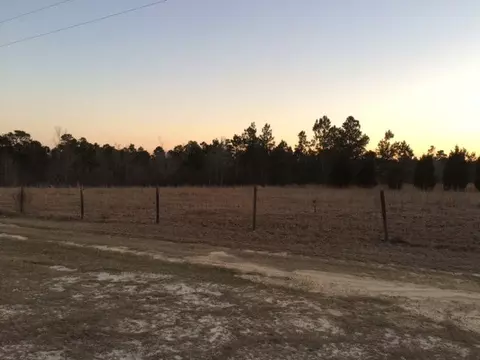 410 Beck Rd, Williston, SC 29853 photo 4