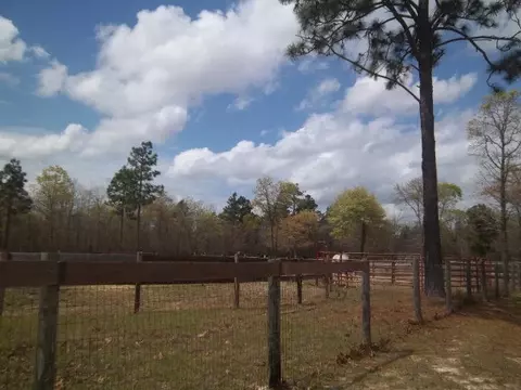 900 Windsor Rd, Windsor, SC 29856 photo 1