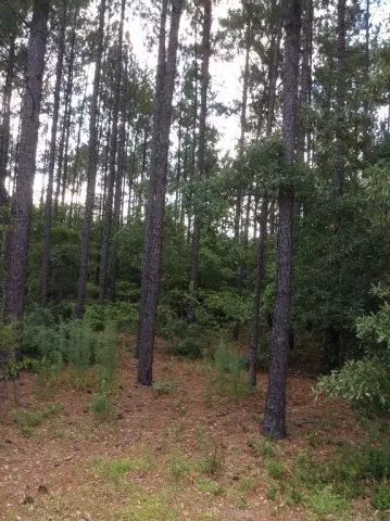 Ad115 Castlesteads Drive, Aiken, SC 29803