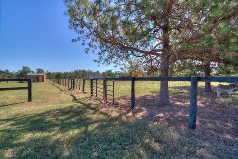 1224 Weeks Rd, Williston, SC 29853 photo 14