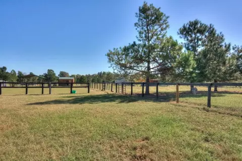 1224 Weeks Rd, Williston, SC 29853 photo 7