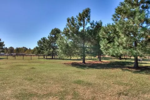 1224 Weeks Rd, Williston, SC 29853 photo 18