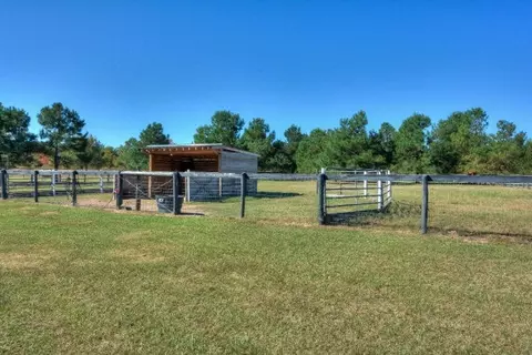 1224 Weeks Rd, Williston, SC 29853 photo 10