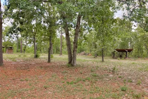 185 Gray Fox Rd, Williston, SC 29853 photo 23