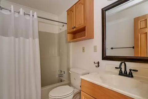 185 Gray Fox Rd, Williston, SC 29853 photo 13