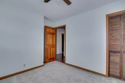 185 Gray Fox Rd, Williston, SC 29853 photo 15