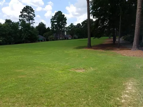 189 Double Eagle Ct, Aiken, SC 29803 photo 45