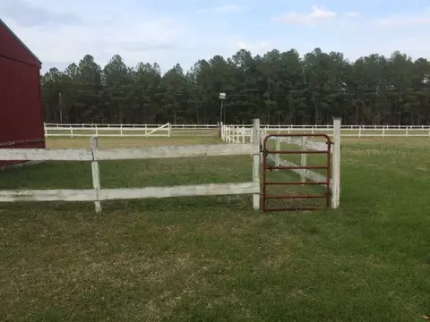1346 Dairy Rd, Ridge Spring, SC 29129 photo 21