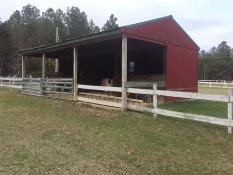 1346 Dairy Rd, Ridge Spring, SC 29129 photo 20