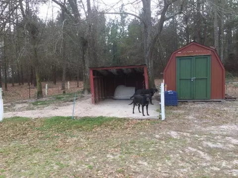 1346 Dairy Rd, Ridge Spring, SC 29129 photo 22