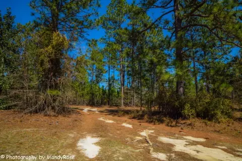 624 626 Windsor Rd N, Windsor, SC 29856 photo 24