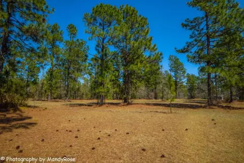 624 626 Windsor Rd N, Windsor, SC 29856 photo 28