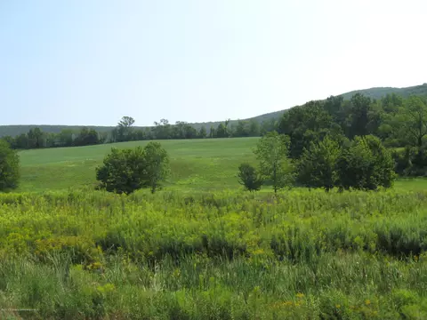 2408 Milwaukee Rd, Clarks Summit, PA 18411 photo 15