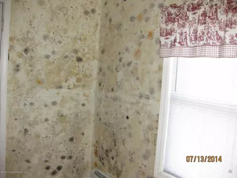 1925 Cedar Ave, Scranton, PA 18505 photo 2