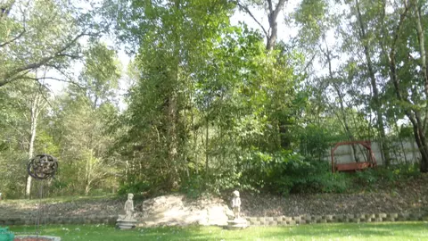 804 Delaware St, Mayfield, PA 18433 photo 33