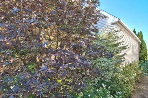 813 E Scott St, Olyphant, PA 18447 photo 30