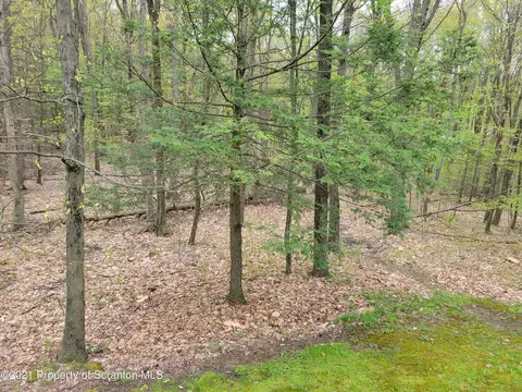 2805 Rock Dr, Clarks Summit, PA 18411 photo 15