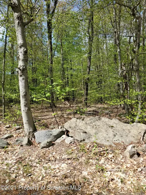 49 Ridge Rd, Newfoundland, PA 18445