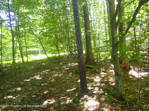 292 Donovan Rd, Brackney, PA 18812 photo 34