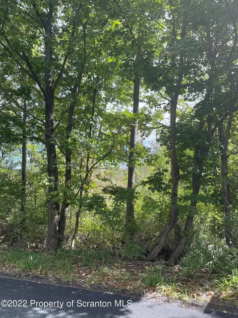 Griffin Pond Road, South Abington Twp, PA 18411