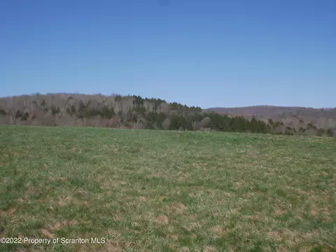 Bell Mountain Road, Clifford Township, PA 18407