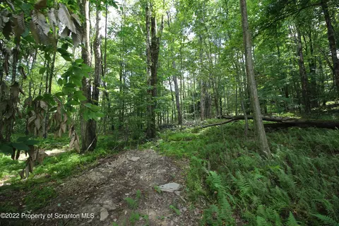 Sr 438, Scott Twp, PA 18411