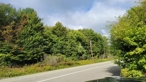 lot1 Dorantown Rd, Covington Twp, PA 18444