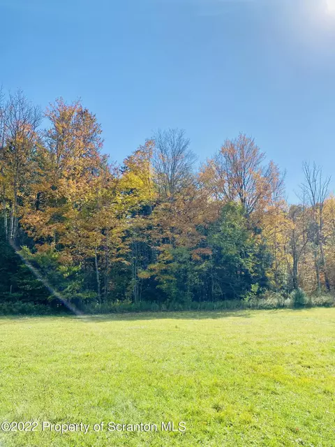 1290 Dull Rd, Wyalusing, PA 18853 photo 5