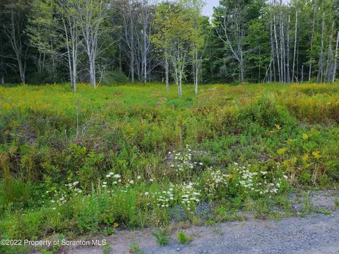 Forest Lake Road, Montrose, PA 18801