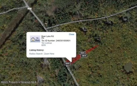 Bear Lake Road, Thornhurst, PA 18424
