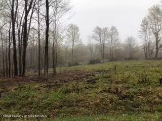 254 Winship Rd, Covington Twp, PA 18444