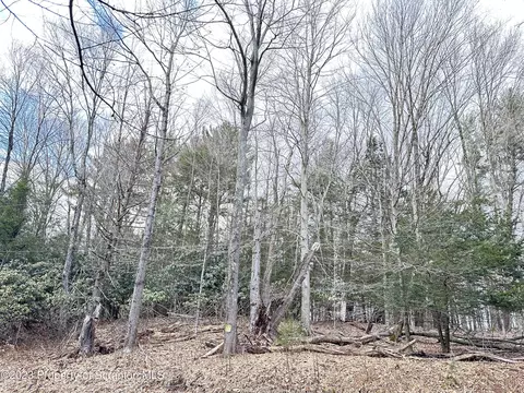 0 E Shore Dr, Lake Ariel, PA 18436