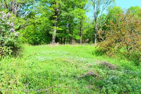 Forks Hill Road, Montrose, PA 18801
