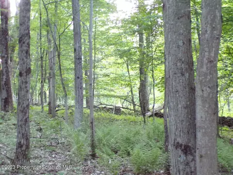 1353 Wright Rd # -A, Kingsley, PA 18826