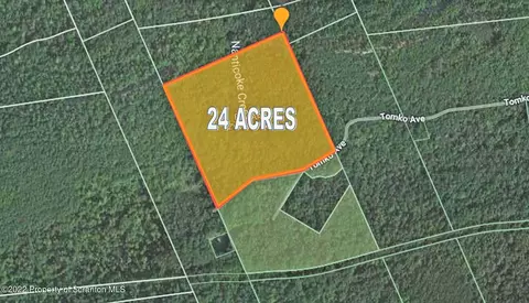 24 Acres Tomko Ave, Hanover Twp, PA 18706