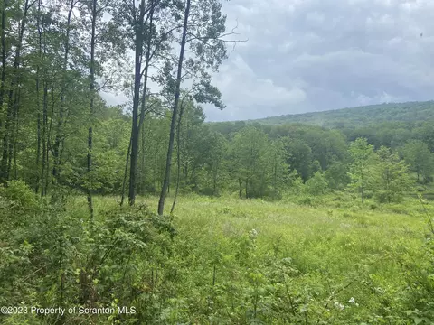 Skinner Hill Road, Susquehanna, PA 18847