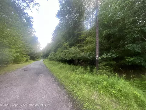 Lake Spangenberg Road, Jefferson Twp, PA 18436