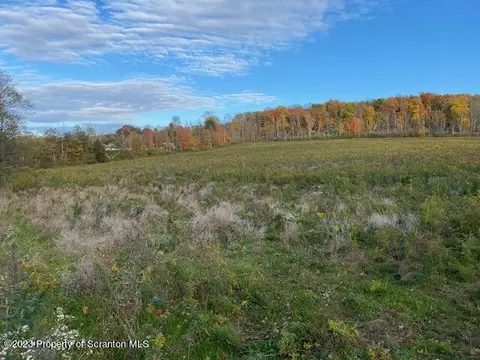 Stone And Reynolds Road, North Abington Twp, PA 18414