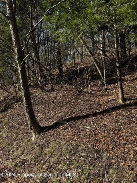 lot5 State Route 29 S, Noxen, PA 18636