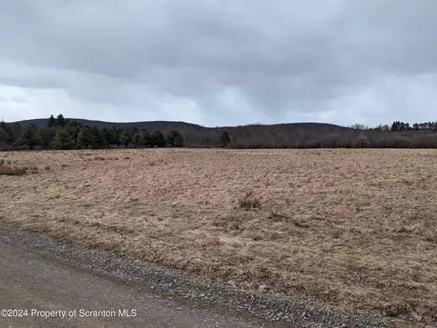 Padwa Road, Pleasant Mount, PA 18453