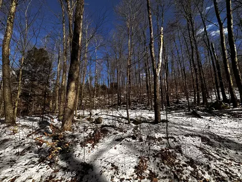 lot12 E Lake Rd, Madison Township, PA 18444