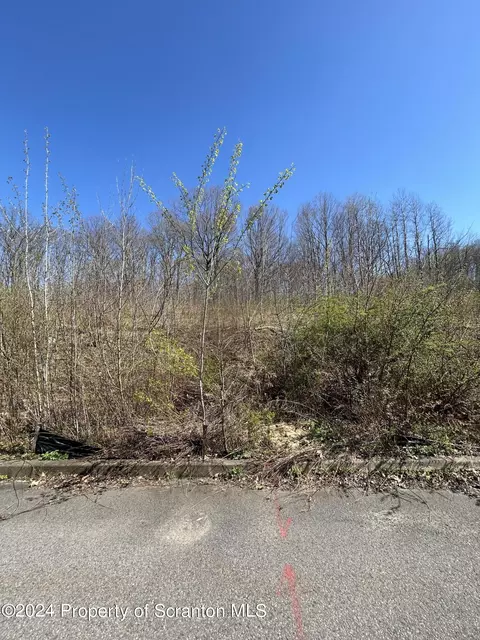 109 Black Walnut Dr, Olyphant, PA 18447