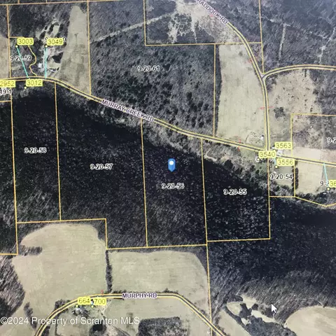 Murray Creek Road, Athens, PA 18810